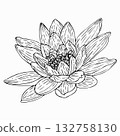 Black outline of lotus flowers. Isolated on a white background. Ornamental plant for design, decoration, embellishment, and printing. 132758130