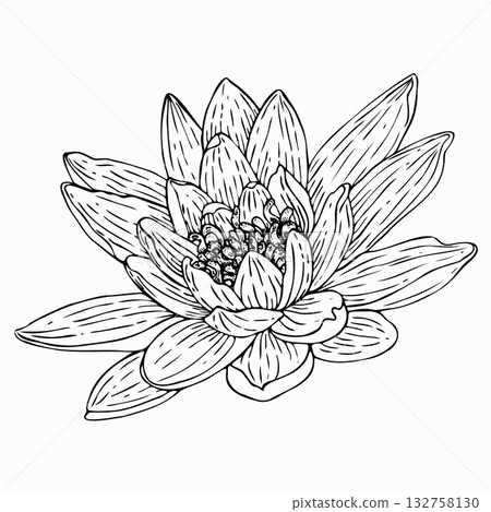 Black outline of lotus flowers. Isolated on a white background. Ornamental plant for design, decoration, embellishment, and printing. Black outline of lotus flowers. Isolated on a white background. Ornamental plant for design, decoration, embellishment, and printing. 132758130