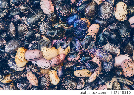 Bob haricot.Fresh useful black and pink speckled beans,ready to cook Bob haricot.Fresh useful black and pink speckled beans,ready to cook 132758310