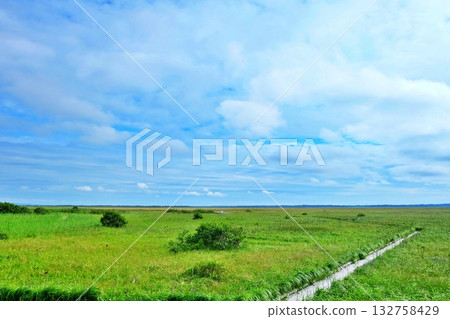 Sarobetsu原始花園的風景 Sarobetsu原始花園的風景 132758429