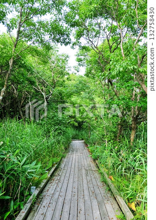 Scenery of Sarobetsu primeval flower garden 132758430