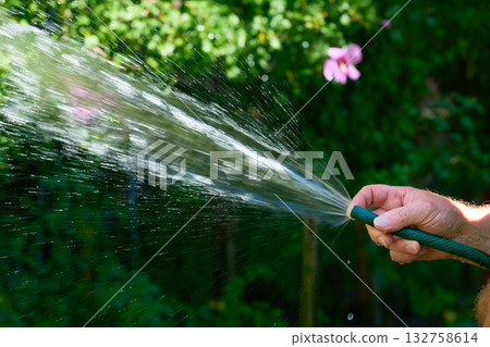 A stream of water from a hose. Watering plants in the summer heat A stream of water from a hose. Watering plants in the summer heat 132758614