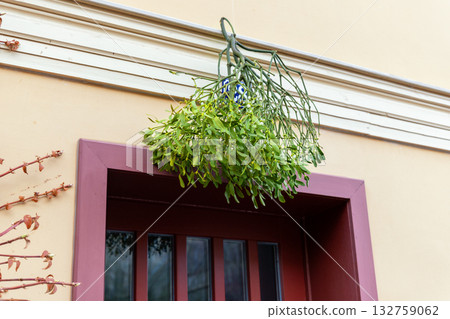 Green mistletoe with small white berries hangs on a red door, tied with a bright ribbon. Simple festive decoration brings cozy winter mood and holiday warmth to a traditional home entrance Green mistletoe with small white berries hangs on a red door, tied with a bright ribbon. Simple festive decoration brings cozy winter mood and holiday warmth to a traditional home entrance 132759062