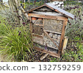 Authentic eco-friendly insect hotel to protect bees and other species in winter or for breeding, wooden structure with holes in garden surrounded by grass, plants, front view, selective focus 132759259