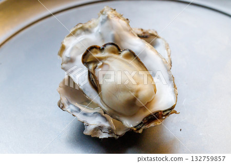 Oyster Oyster 132759857