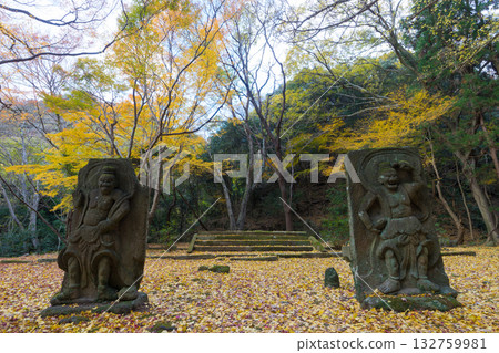 銀杏樹和仁王像(舊大分縣國東市仙洞寺) 銀杏樹和仁王像(舊大分縣國東市仙洞寺) 132759981