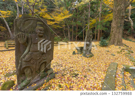 銀杏樹和仁王像(舊大分縣國東市仙洞寺) 銀杏樹和仁王像(舊大分縣國東市仙洞寺) 132759988