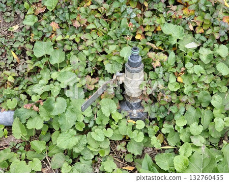 Garden pipe with a tap among green grass. Garden pipe with a tap among green grass. 132760455