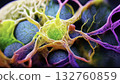 Colorful illustration of neurons interconnected in a brain-like network Colorful illustration of neurons interconnected in a brain-like network 132760859