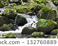 充滿活力的溪流 132760889