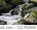 充滿活力的溪流 132760890