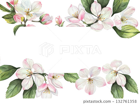 Watercolor frame with apple tree flowers and green leaves. Delicate white and pink flowers on white background. Space for text. 132761358