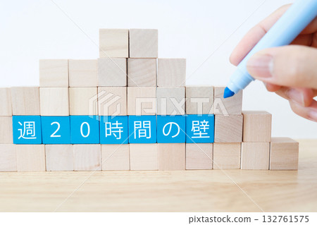 每週 20 小時的門檻(社會保險資格線)以木塊表示。 每週 20 小時的門檻(社會保險資格線)以木塊表示。 132761575