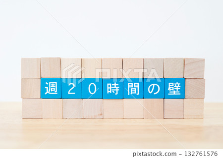 每週 20 小時的門檻(社會保險資格線)以木塊表示。 每週 20 小時的門檻(社會保險資格線)以木塊表示。 132761576