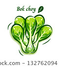 Pop art of bok choy | Cute and fresh vegetable illustrations 132762094