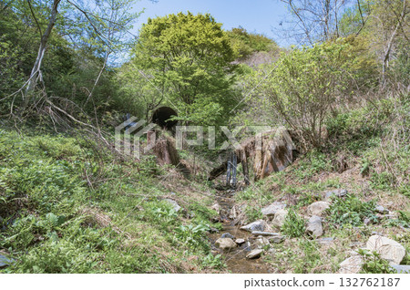 茨城縣助川山市民森林扭曲山谷(日立市) 茨城縣助川山市民森林扭曲山谷(日立市) 132762187