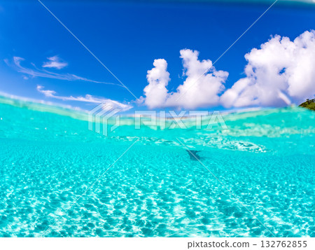 一張白色沙灘的半表面照片。美麗的珊瑚礁和成群的熱帶魚。沖繩縣島尻郡慶良間群島座間味島卡比島 132762855