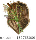 Marsh plants: cattail, reed, bulrush and oak shield. Watercolor illustration on a white background. For cards, scrapbooking, wallpaper, and textiles 132763080