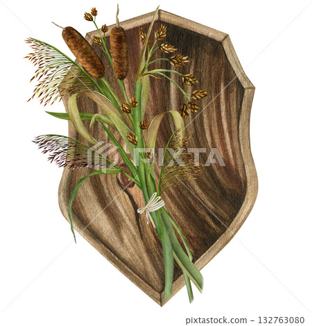 Marsh plants: cattail, reed, bulrush and oak shield. Watercolor illustration on a white background. For cards, scrapbooking, wallpaper, and textiles Marsh plants: cattail, reed, bulrush and oak shield. Watercolor illustration on a white background. For cards, scrapbooking, wallpaper, and textiles 132763080