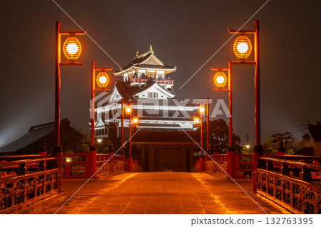 Aichi Prefecture: Kiyosu Castle and rainy night view 132763395