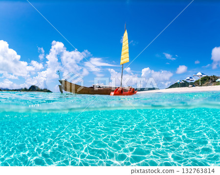 沖繩縣佐波尼島及白沙灘的部分水下照片。美麗的珊瑚礁和成群的熱帶魚。地點：沖繩縣慶良間群島加比島，島尻郡 132763814