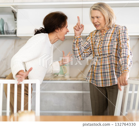 Angry old and middle-aged women quarreling aggressively to each other in the kitchen 132764330
