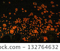 Lantern releases fill the night sky at the Hunan Autumn Leaves Lantern Festival 2025 132764632