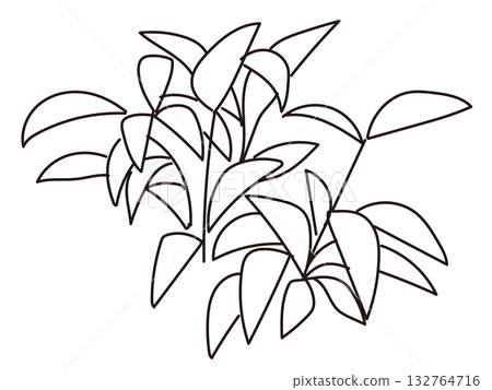 Vector illustration of exterior and garden planting Vector illustration of exterior and garden planting 132764716