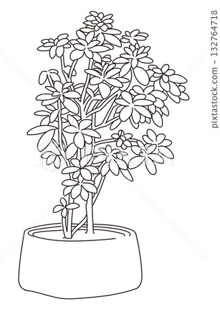 Vector illustration of exterior and garden planting Vector illustration of exterior and garden planting 132764718