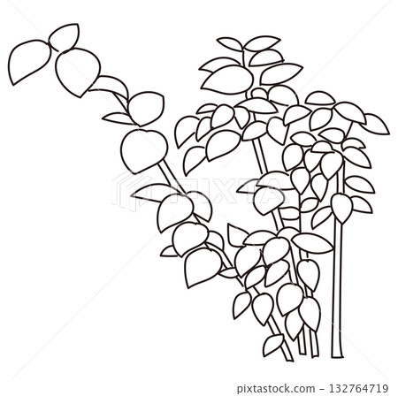 Vector illustration of exterior and garden planting Vector illustration of exterior and garden planting 132764719