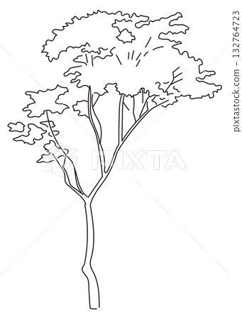 Vector illustration of exterior and garden planting 132764723