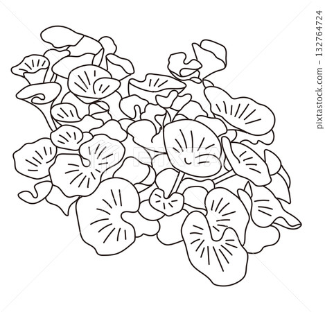 Vector illustration of exterior and garden planting 132764724
