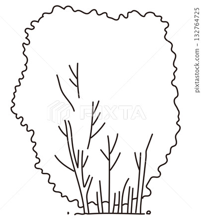 戶外及花園植物的向量圖 戶外及花園植物的向量圖 132764725