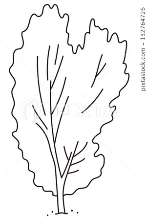 戶外及花園植物的向量圖 戶外及花園植物的向量圖 132764726