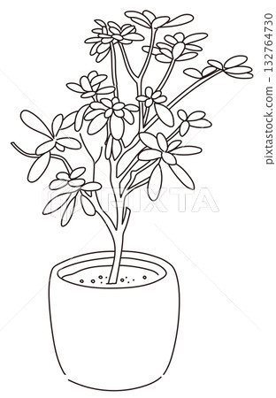 戶外及花園植物的向量圖 132764730