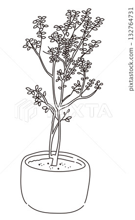 戶外及花園植物的向量圖 戶外及花園植物的向量圖 132764731