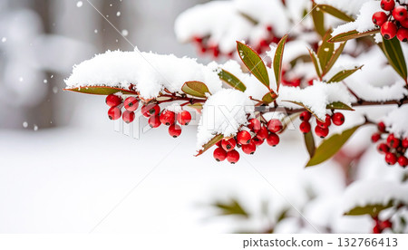 紅色水果和雪 132766413