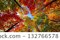 [AI generated] Autumn landscape - autumn leaves 8794008 132766578