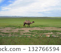Mongolian camel diorama 132766594