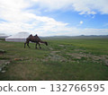 Mongolian camel diorama 132766595