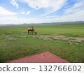 Mongolian camel diorama 132766602
