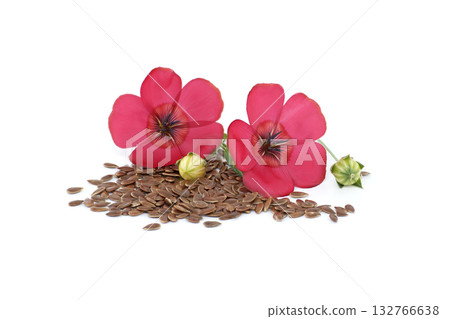 Vibrant red flax flowers with seeds, a symbol of health and wellness Vibrant red flax flowers with seeds, a symbol of health and wellness 132766638