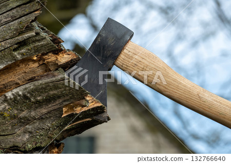 Axe Embedded In Split Log Outdoors With Wooden Handle During Firewood Prep 132766640