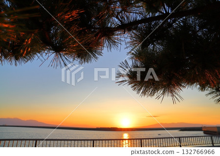 Sunset sky, sunset, sea, pine trees Sunset sky, sunset, sea, pine trees 132766966
