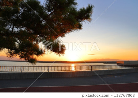 Sunset sky, sunset, sea, pine trees 132767008