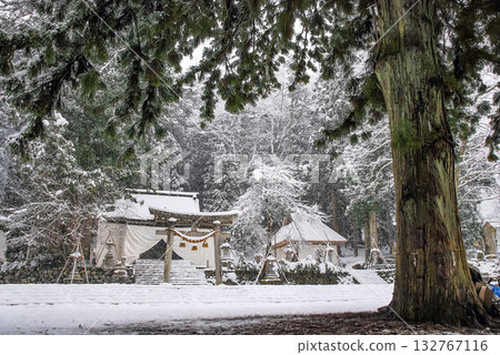 The sacred winter scenery of Shirakawa Hachiman Shrine in the snow, with giant trees and historic shrine buildings standing within the silvery white grounds 132767116