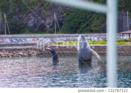 Humpback whale sculpture at Zamami Port. Zamami Port, Zamami Island, Kerama Islands, Shimajiri District, Okinawa Prefecture - 2025 Humpback whale sculpture at Zamami Port. Zamami Port, Zamami Island, Kerama Islands, Shimajiri District, Okinawa Prefecture - 2025 132767122