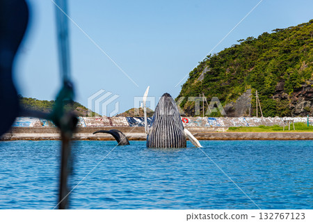 Humpback whale sculpture at Zamami Port. Zamami Port, Zamami Island, Kerama Islands, Shimajiri District, Okinawa Prefecture - 2025 132767123