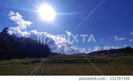 A view of terraced fields during autumn harvest season under the bright sun A view of terraced fields during autumn harvest season under the bright sun 132767398