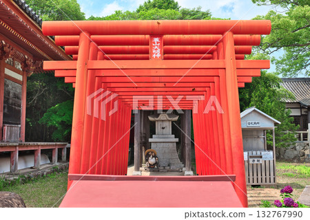Minoyama Daimyojin Shrine's vermilion-lacquered torii gate Minoyama Daimyojin Shrine's vermilion-lacquered torii gate 132767990